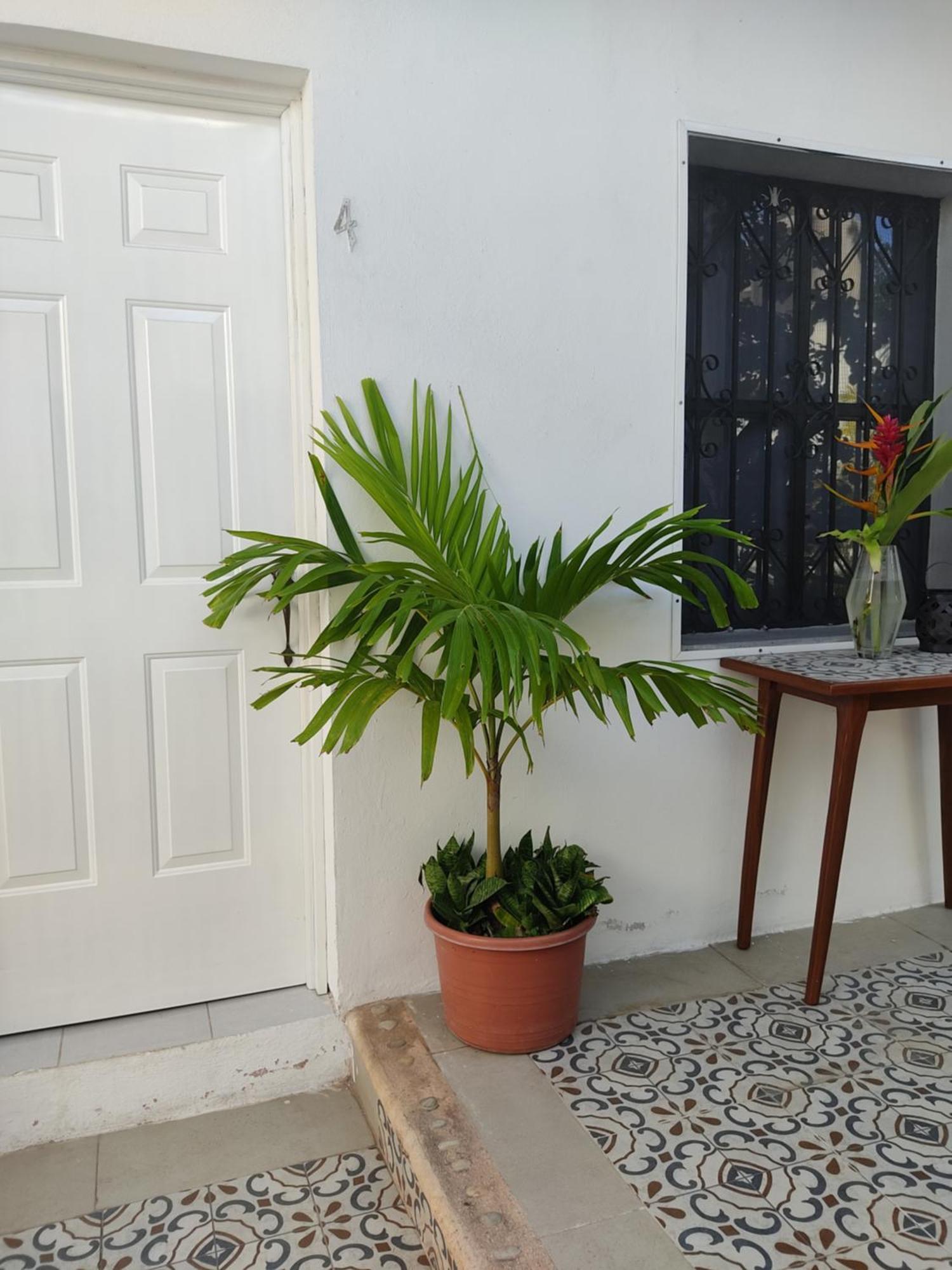 Casa Mercedes Valladolid  Rum bild